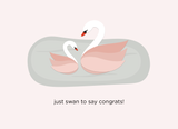 Swan Baby