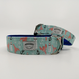 Seafoam Pet Collars