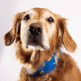 Seadog Anchors Pet Collar