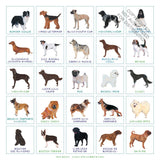 Dog Bingo