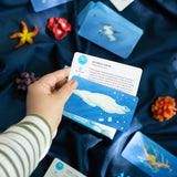 Deep Sea Discovery Card Game