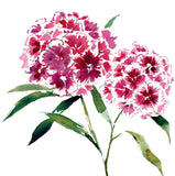 The Language of Flowers