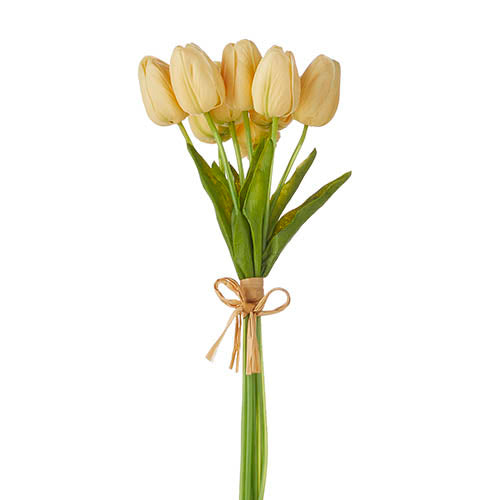 Yellow Tulip Bundle