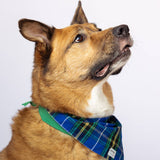 Nova Scotia Tartan Pet Collar
