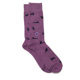 Socks that Save Cats (Curious Cats)