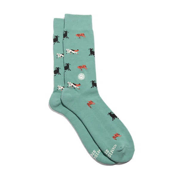 Socks that Save Cats (Frisky Felines)