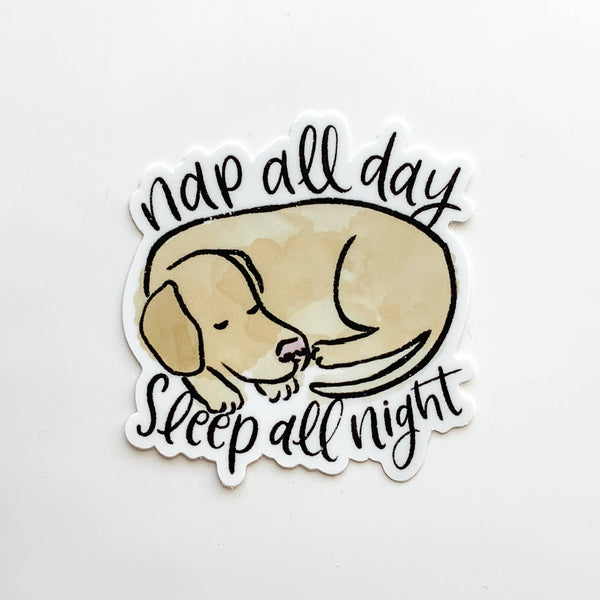 Nap All Day, Sleep All Night Sticker