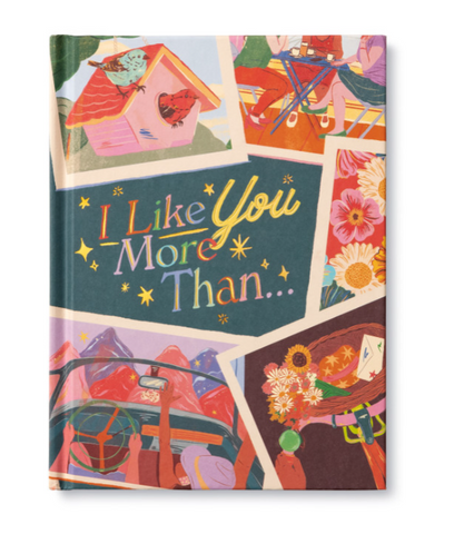 I Like You More Than - Book