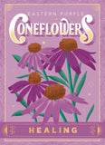 Seed Packets - To & From Seed Co.